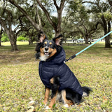 Pawtitas Reversible Windproof Dog Jacket | Water Resistant | Winter Coat for Puppies - Red & Blue Up Dog Vest - Small Breed - Pouch Included