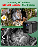 KinetCam Smart Squirrel Box with Camera,Predator-Proof,2K HD Wi-Fi Pet Watching Cam for Squirrel House, Auto Detect & Notify, Night Vision, APP Control, Squirrels Houses for Outside Nesting