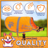Upgraded Reflective Dog Vest. Hi-Visibility, Fluorescent Blaze Orange Dog Vest Helps Protect Your Best Friend. Safeguard Your PUP from Motorists & Hunting Accidents, On or Off Leash by 4LegsFriend