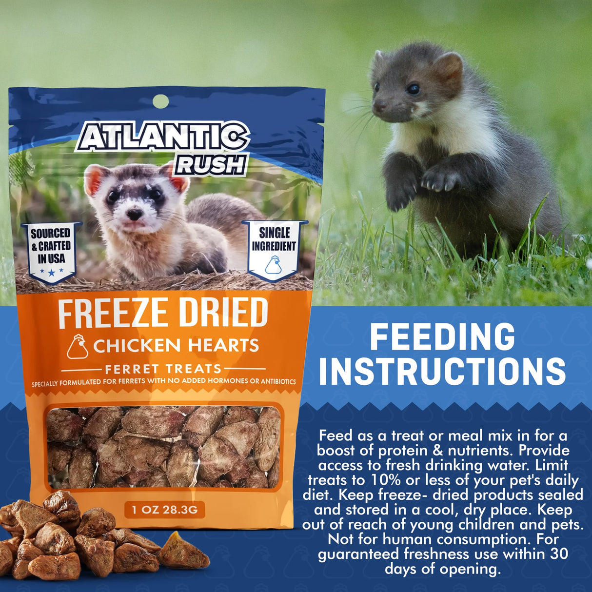 Freeze Dried Small Pet Treats - Resealable Bag of Treats for Ferrets - Ferret Snacks - Single Ingredient Ferret Food With No Preservatives Or Fillers- Small Animals Treats (1oz, chicken Heart)