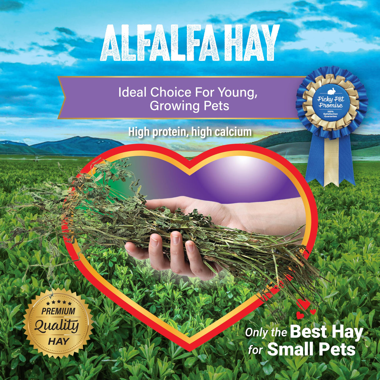 Small Pet Select Alfalfa Hay Pet Food for Young Rabbits, Guinea Pigs, Chinchillas, Tortoises and Other Small Animals, Easy to Store Box, 5 LB
