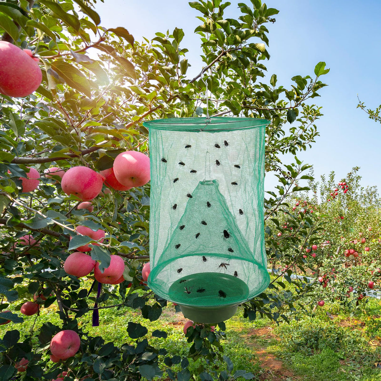 Ranch Fly Traps Outdoor Hanging Stable Fly Trap Reusable Fly Killer Cage Fly Catcher Bag with Bait Tray,Fly Repellent for Outdoor and Indoor Hanging Farms,Stable,Garden,Orchard,Park (12 Pack)