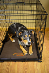 Mud River Dog Crate Cushion, Nylon, X-Large/Jumbo/32 x 22", Brown