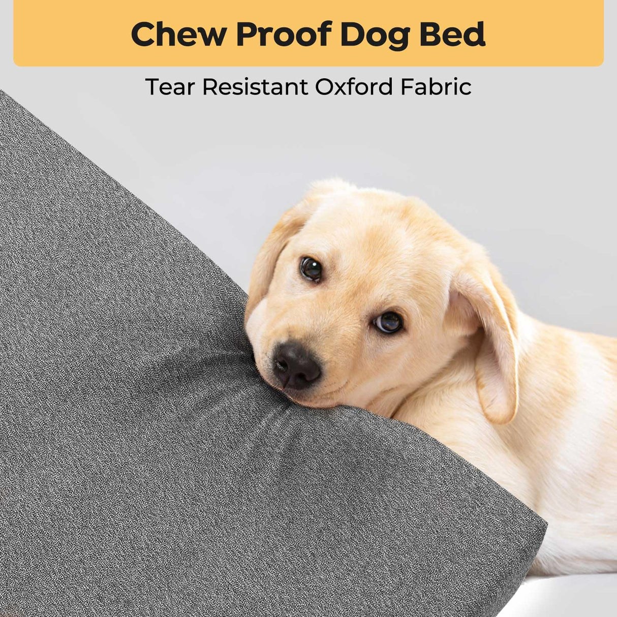 Veehoo Chew Proof Dog Bed for Crate, Indestructible Dog Crate Bed for Aggresive Chewers, Extra Large XXL Tough Chew Resistant Pet Pad with Hidden Zipper, Removable Washable Cover