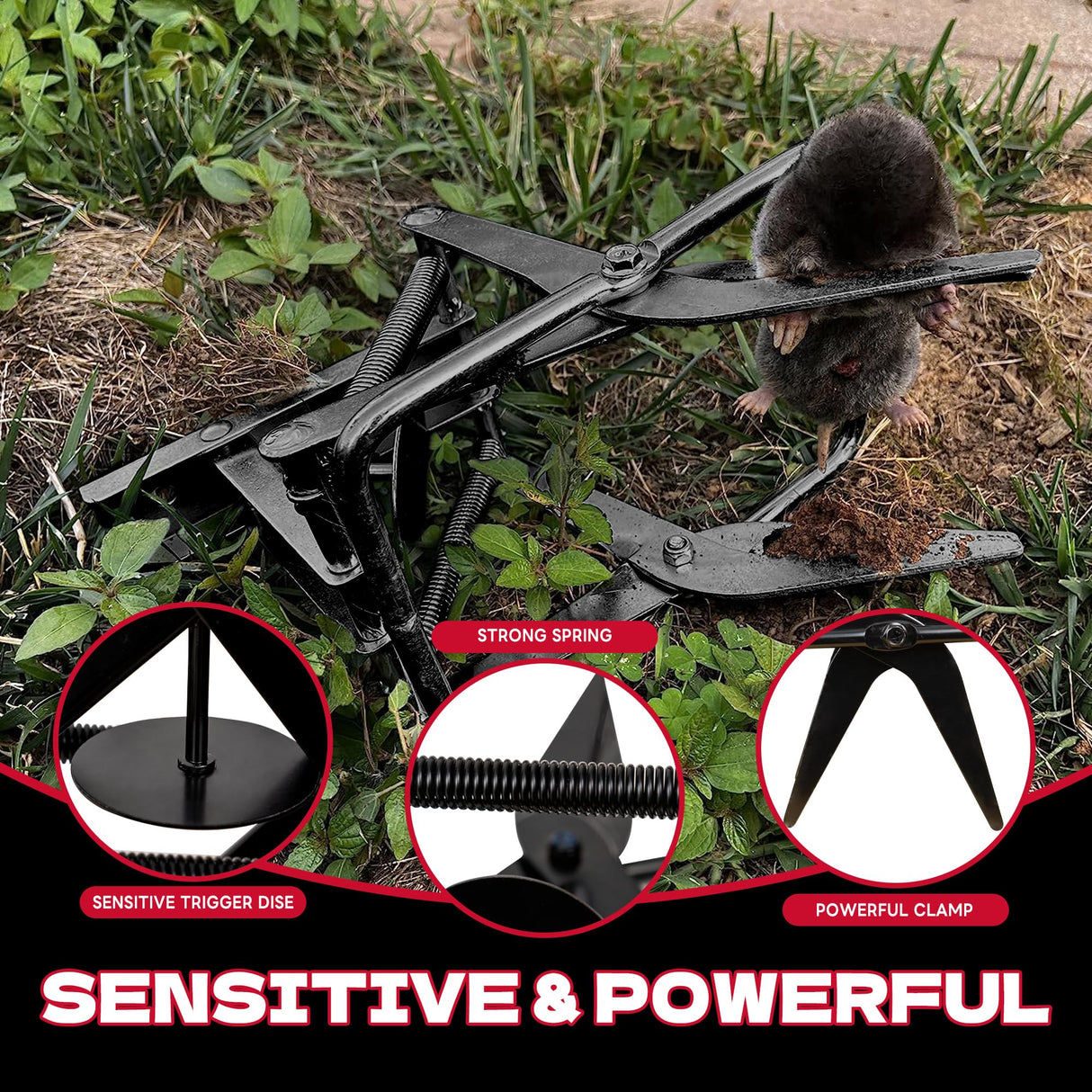 Mole Traps 2 Pack, Scissor Mole Trap that Kill Best，Mole Traps for Lawns Ground，Easy Step Mole Trap，Black Coated