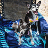 Midlee Yellow Polka Dot Dog Bikini (XX-Large)