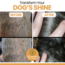 Load image into Gallery viewer, Salmon Oil for Dogs and Cats, 32 oz - Omega-Rich Supplement for Healthy Skin &amp; Coat, Joint &amp; Immune Support - All-Natural Fish Oil Liquid - Premium Pet Care, Made in USA
