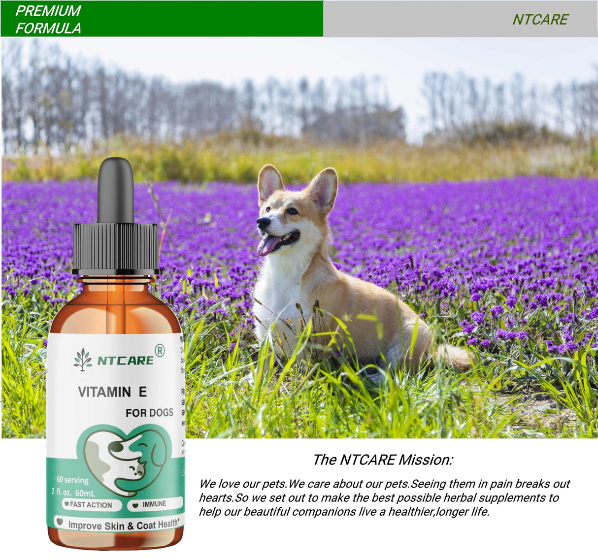 NTCARE Vitamin E Oil for Dogs, 2 fl oz, Immune Support, Skin and Coat Health Supplement, 60 Servings