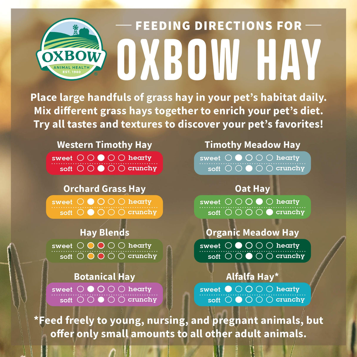 Oxbow Alfalfa, Guinea Pig Hay, Rabbit Hay, Small Pet Bunny Supplies, All Natural Grass for Guinea Pig, Bunny, Chinchilla & Hamster, Oxbow Rabbit Supplies, Grown in USA, 9 lb box