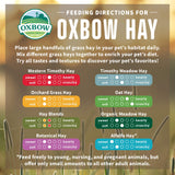 Oxbow Alfalfa, Guinea Pig Hay, Rabbit Hay, Small Pet Bunny Supplies, All Natural Grass for Guinea Pig, Bunny, Chinchilla & Hamster, Oxbow Rabbit Supplies, Grown in USA, 9 lb box