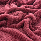 Ruby Red Pet Blanket - Warm Soft Fuzzy Blankets for Puppy, Kitten, Small, Medium, Large Dogs & Cats - Plush Fleece Throws for Bed, Couch, Sofa, Travel (L/40" x 48")