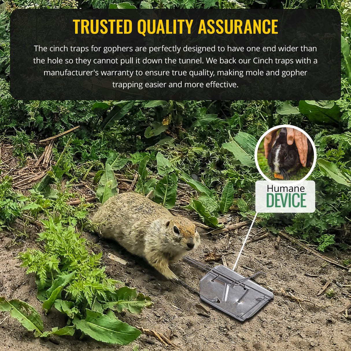 Cinch Gopher Trap Kit - Professional-Grade Gopher Traps That Work Best, Heavy Duty, Reusable Rodent Trapping System - Ideal for Lawns, Gardens, Ranches, and More - Outdoor Use, Small (3 Pack)