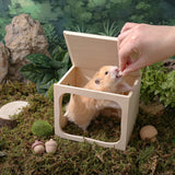 Tafit Hamster Hideout Wooden House Chamber Small Animals Pets Tunnel Exploring Toys Secret Peep Shed for Dwarf Hamsters, Syrian Hamsters, Gerbils, Hedgehogs, Rats, Mice (Living Room)