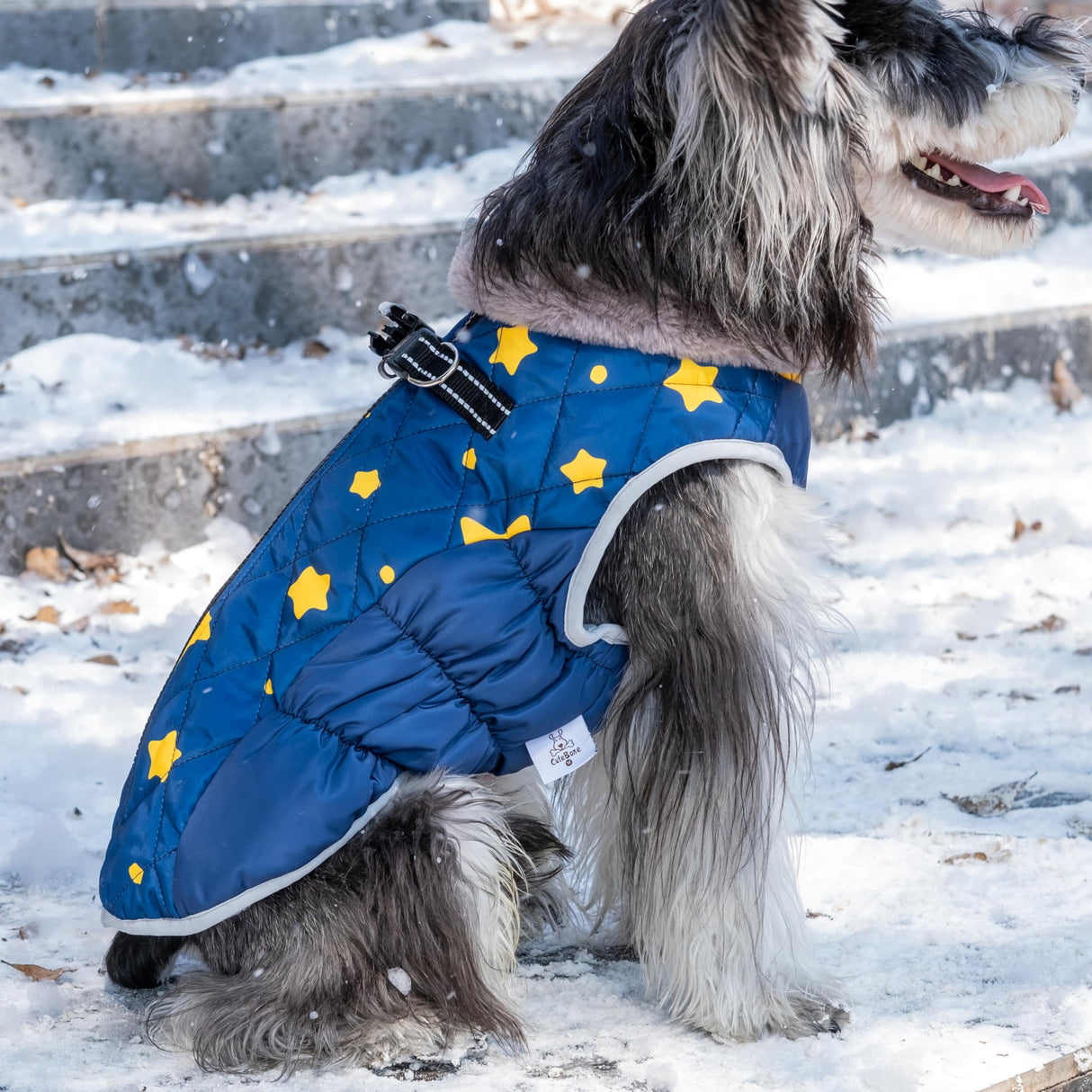 CuteBone Waterproof Thick Dog Winter Coat Doggie Jacket Warm Pet Clothes Comfortable Puffer Dog Vest for Small Medium Large Dogs with Harness Hole YRFN21L