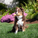 Wild Eats Water Buffalo Retriever Style Cheek Roll Dog Chews-5 Pack (Long Lasting Chews, Treats, Bones for Aggressive Chewers & Large Dogs) Great Substitute Pig Ears Dogs