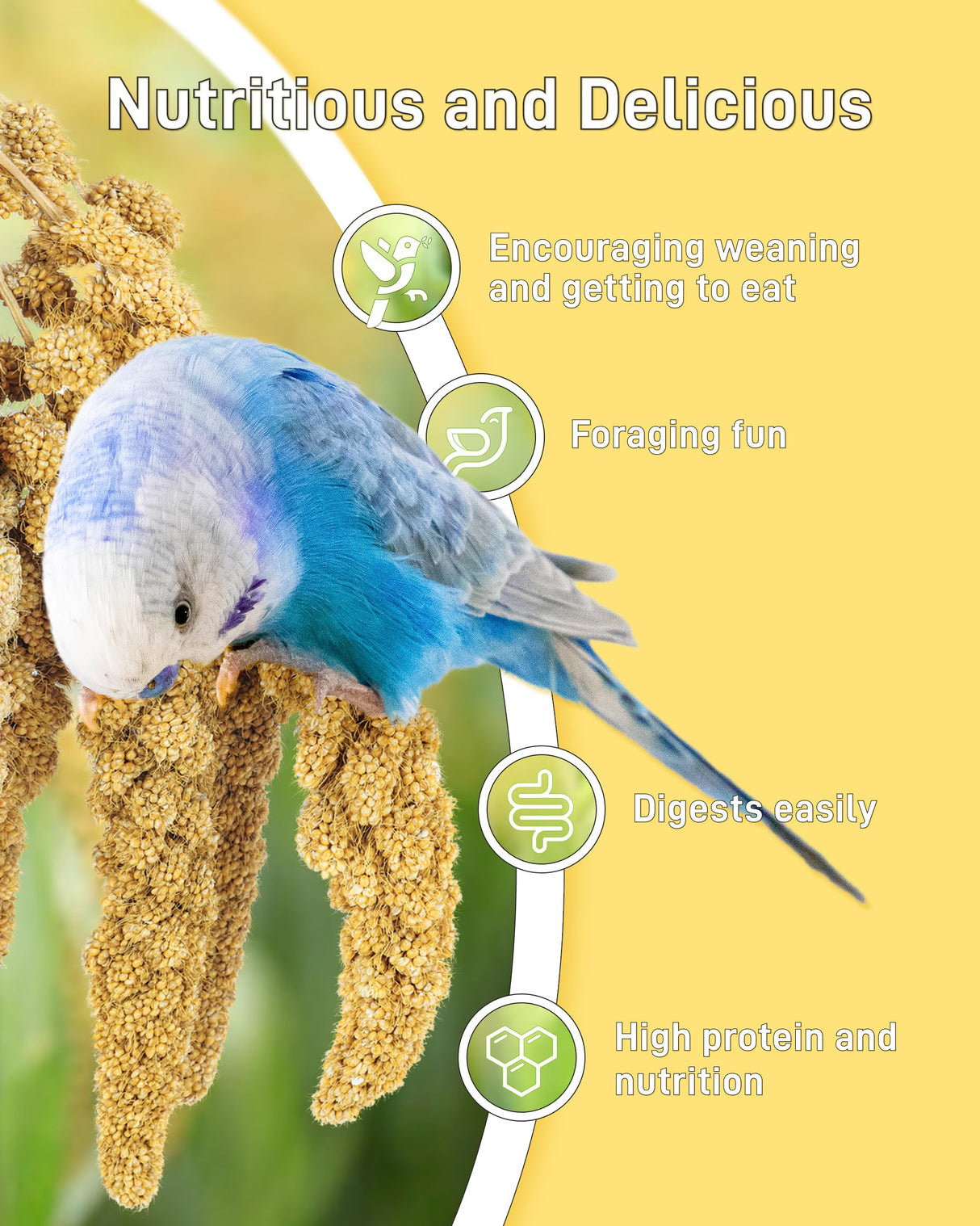 BUCATSTATE Spray Millet for Birds, Sun-Dried Healthy Millet Parakeet Treats for Parrots Cockatiel Lovebird Finch, GMO-Free Parakeet Food - 1.1lb