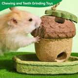 Rodizoo 2 Pack Guinea Pig Chew Toys Natural Rabbit Chew Toys Hamster Molar Teeth Toys, Made with Natural Timothy Grass & Vegetables, Mushroom & Tree Shaped Habitat Decoration, Small Animal Toys