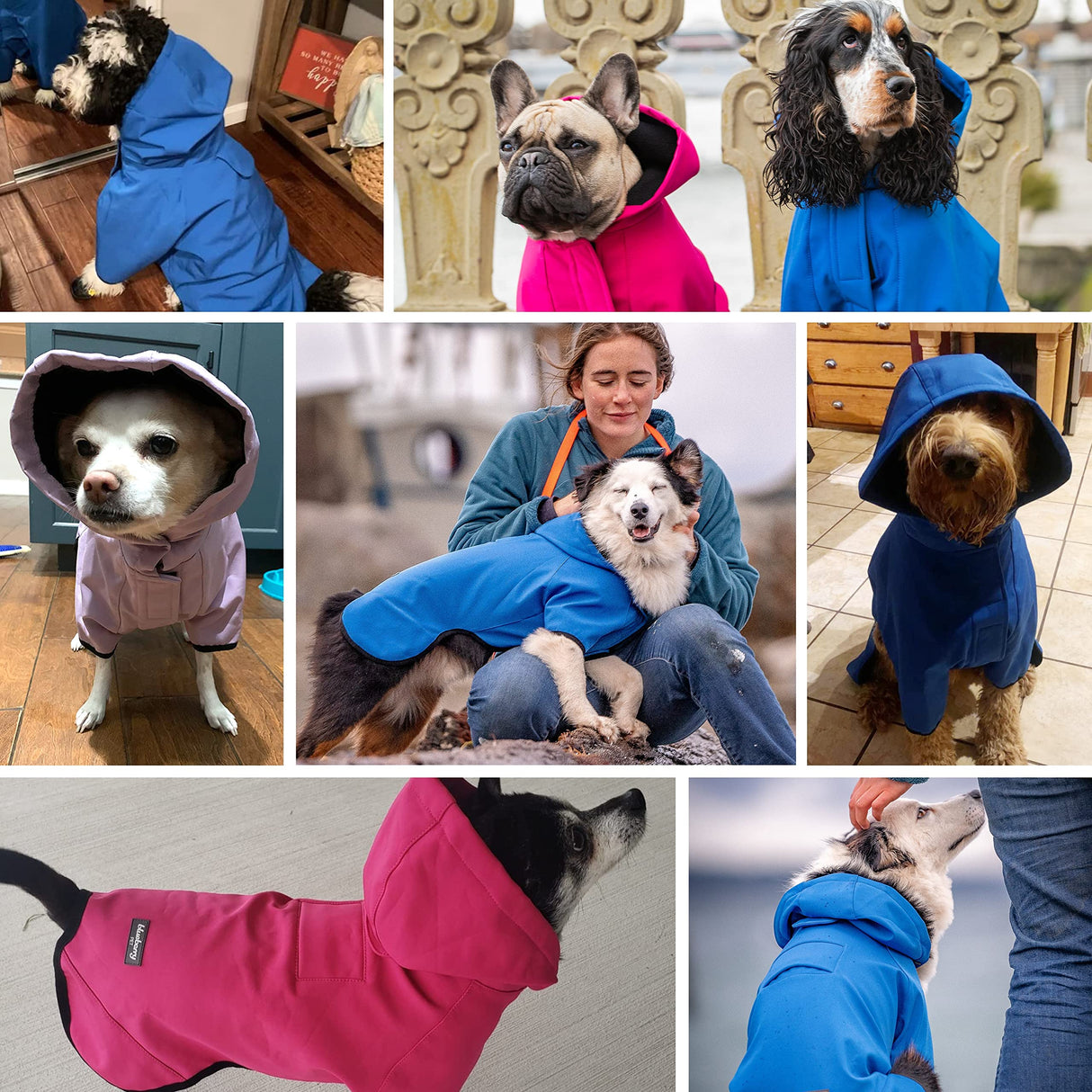 Blueberry Pet 26" Waterproof Dog Softshell Jacket, Hooded Raincoat and Windbreaker with Leash & Harness Hole, Dazzling Blue, Outdoor Rain Gear for Dogs