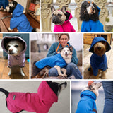 Blueberry Pet 26" Waterproof Dog Softshell Jacket, Hooded Raincoat and Windbreaker with Leash & Harness Hole, Dazzling Blue, Outdoor Rain Gear for Dogs