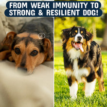 Load image into Gallery viewer, 2-Pack Turkey Tail Mushroom for Dogs with Organic Real Turkey Tail™ - 8:1 Extract Mushroom Chews for Lumps &amp; Bumps, Immunity, Gut, Skin, Joint &amp; Spine Support - Reishi, Lion’s Mane - 120 Soft Chews
