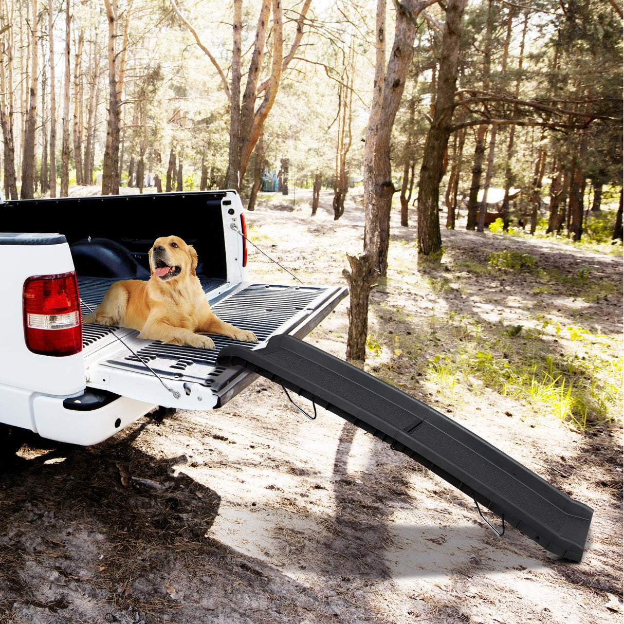 JupiterForce Folding Dog Ramp for Car, Non-Slip Pet Ramp with High Traction Surface, Portable & Lightweight Dog Ramps for SUV, Truck & Bed, Supports Large & Small Dogs