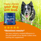 Zesty Paws Mobility Bites Joint Supplement for Dogs - Soft Chews with Glucosamine for Dogs, Chondroitin, & MSM + Vitamins C and E - Adv Chicken - 90 Count