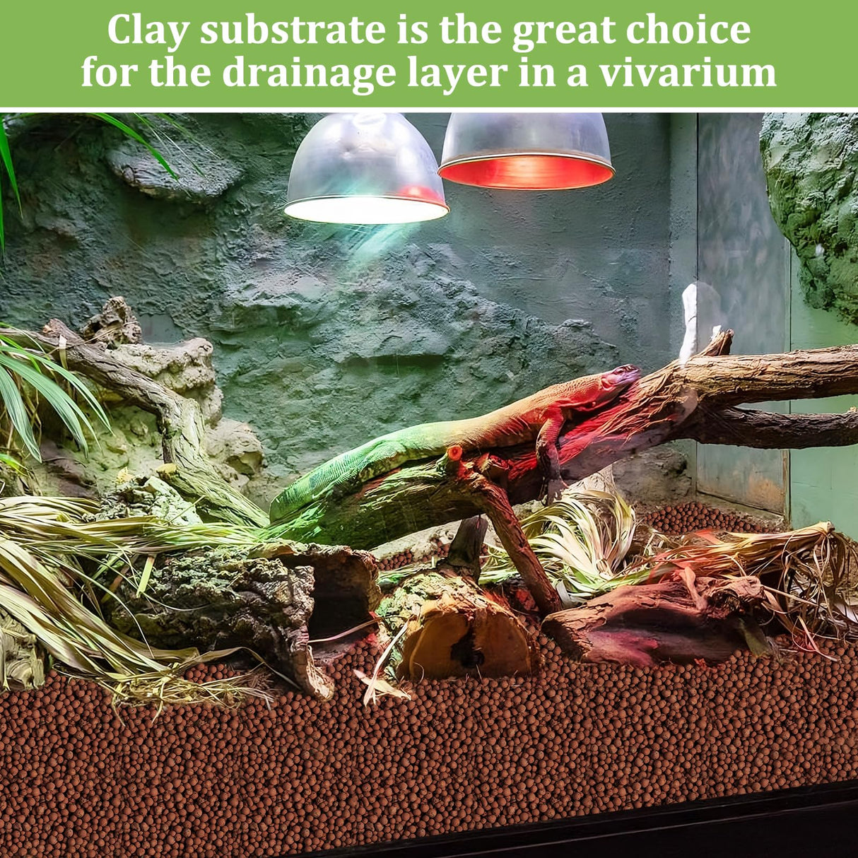 Riare 10LBS Expanded Clay Balls Terrarium Substrate for Reptiles - 100% Organic Lightweight Clay Pebbles Substrate Frogs False Bottom Substrate, Bioactive Terrarium Substrate for Drainage and Moisture