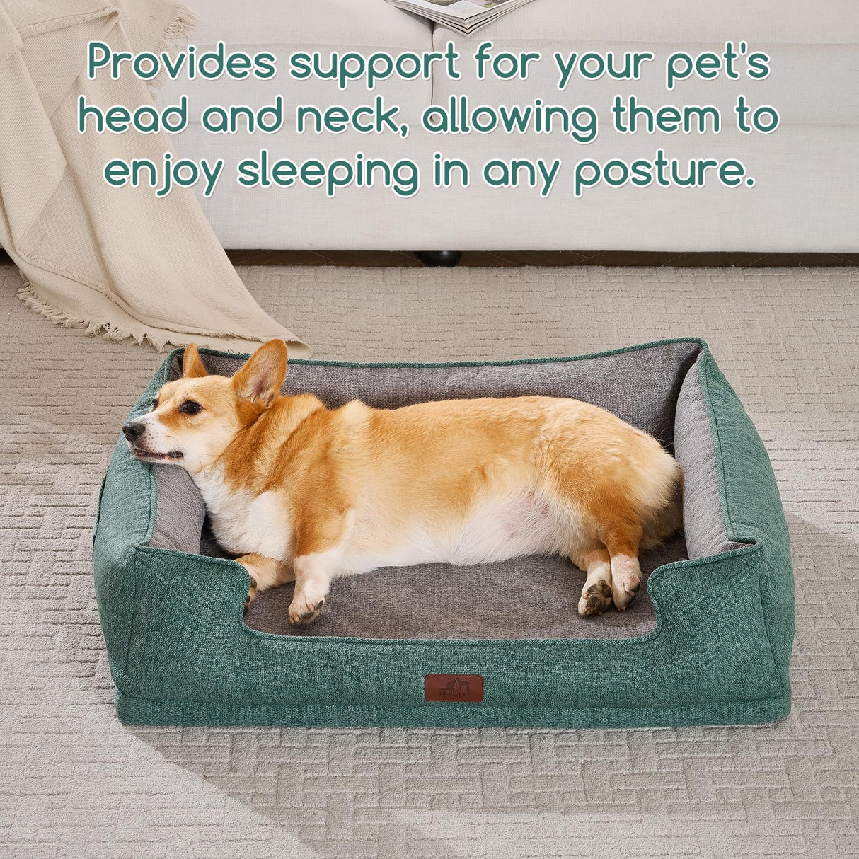 Hollypet Orthopedic Rectangle Dog Bed for Medium Dogs, Supportive Egg-Crate Foam Pet Beds with Removable Washable Waterproof Cover and Non-Slip Bottom, Green, 32" L x 24" W x 8.5" Th