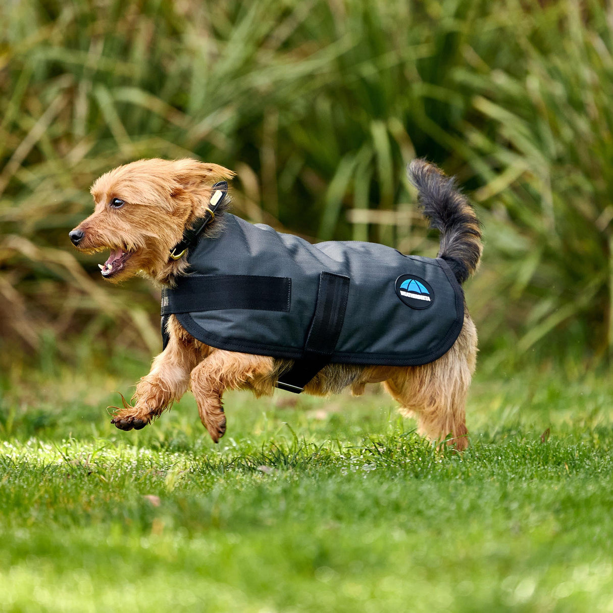 WeatherBeeta ComFiTec Classic Waterproof Dog Coat, Charcoal, 30"