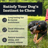 Redbarn Pet Products All Natural 5"-8" Bully Sticks for Small & Large Dogs - Healthy Long Lasting Chews Variety Party Pack - 100% Beef Single Ingredient Low Odor Rawhide Free Dental Treats - 8 oz Bag