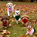 2 Pack Small/Medium Dog Sweater, Warm Comfy Stretch Dog Winter Coat w/Sleeves & High Neck, Premium Dog Clothes for Mini Poodle-Best for Holidays, Daily Walks S Green Brown