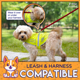 Upgraded Reflective Dog Vest. Hi-Visibility, Fluorescent Blaze Orange Dog Vest Helps Protect Your Best Friend. Safeguard Your PUP from Motorists & Hunting Accidents, On or Off Leash by 4LegsFriend