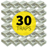 S&T INC. Insect Traps, Brown Recluse, Hobo Spiders, Black Widows, White, 30 Count