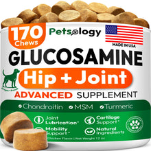 Load image into Gallery viewer, Petsology Glucosamine for Dogs - Hip and Joint Supplement for Dogs - 170 Mobility Chews - Glucosamine Chondroitin - MSM - Turmeric - Joint Pain Relief - Advanced Support for Dog Health - Made in USA
