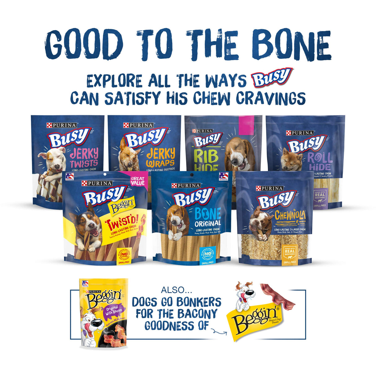 Purina Busy Bone Adult Dog Chew Bone Treats, Peanut Butter - 10 ct. Pouch