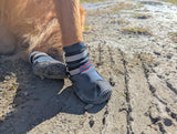 Bark Brite New All Terrain All Weather Neoprene Dog Shoe (Stone Blue, Small)