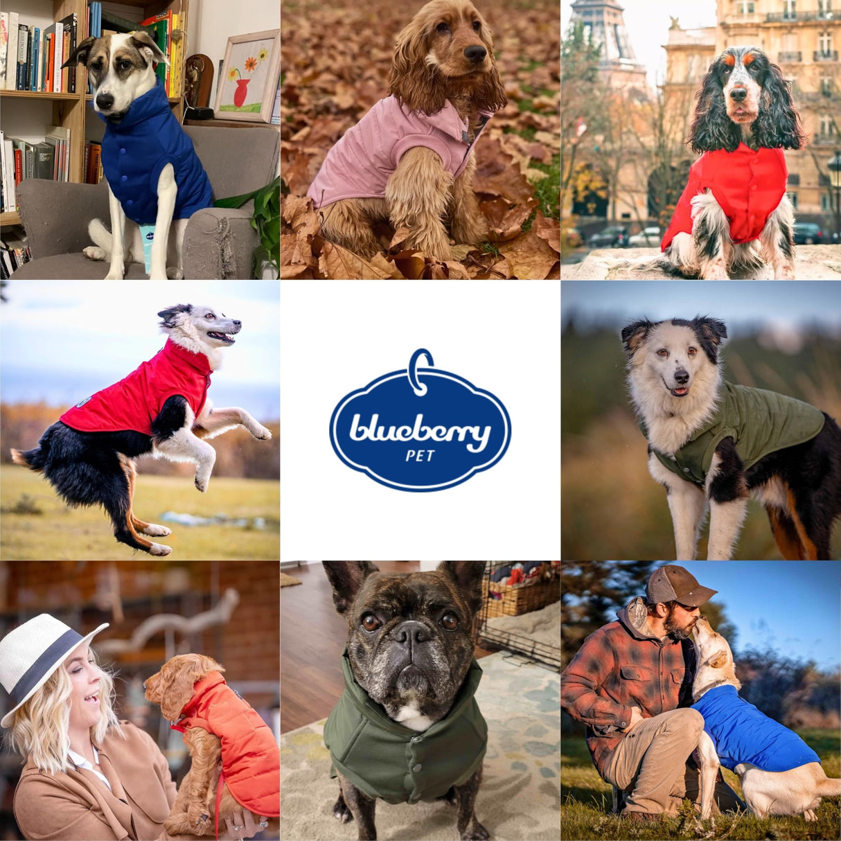 Blueberry Pet Cozy & Comfy Windproof Waterproof Quilted Dog Coat, Rusty Orange Winter Jacket for Medium Dogs, 20" Back Length, Warm Snowsuit-Style Outfit