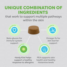 Load image into Gallery viewer, Nutramax Dermaquin Skin Support Supplement for Large Dogs, Supports Healthy Response to Allergens, with Hardy Kiwi, Omega-3s, and More, Tasty Soft Chews, 60 Count
