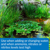 API Pond Aqua Essential Pond Water Conditioner 32-Ounce Bottle