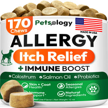 Load image into Gallery viewer, Dog Allergy Relief Chews - 170 Dog Allergy Chews - Itch Relief for Dogs - Omega 3 Fish Oil, Probiotics For Itchy Skin &amp; Hot Spots Allergies, Paw Licking, Dry Skin &amp; Coat Supplement - Beef Liver Flavor
