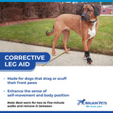 Walkin' Pets Front No-Knuckling Training Socks for Dogs - 3+ Inches, 100+ lbs