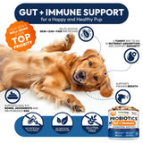Probiotics for Dogs - 170 Dog Probiotics Chews - Digestive Enzymes & Prebiotics - Support Gut Health, Diarrhea, Gas & Constipation Relief - Itchy Skin, Allergies, Yeast Balance - Advanced Supplement