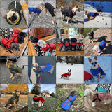 Norbi Dog Winter Coat with Harness Built in, Waterproof Windproof Jacket, Warm Puffer Vest for Small Medium Large Dogs, All Weather Cold Weather Gear for Walking(Black, 5XL)