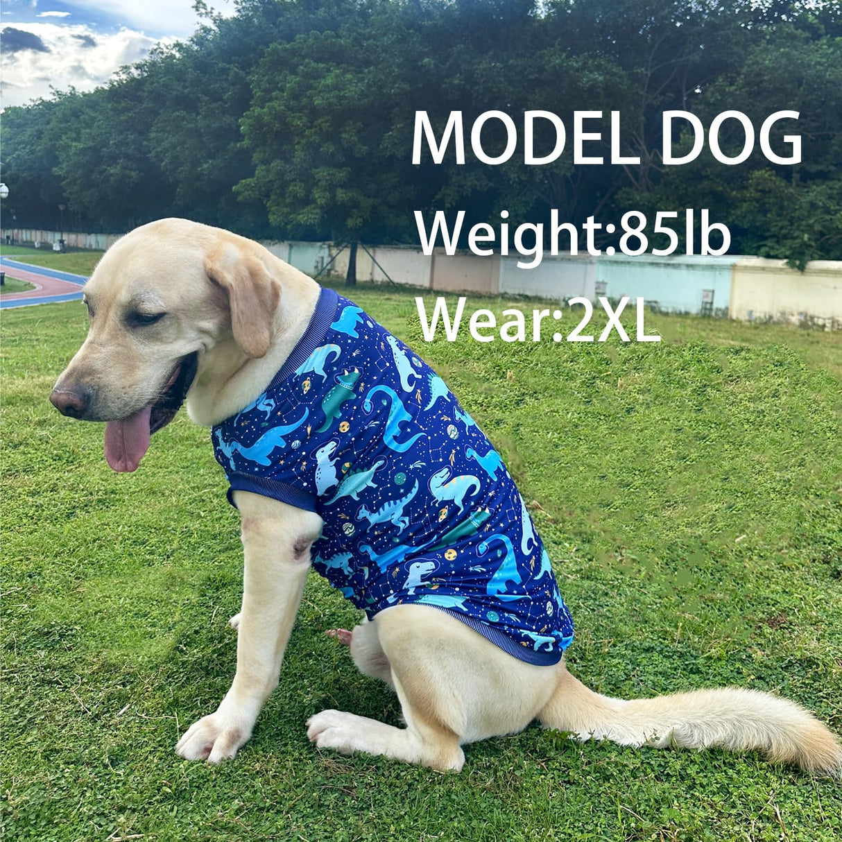 PriPre Dog Navy Sleeveless T Shirts with Universe Dinosaur Pattern Printed Soft Vest for Large Dogs (XL, Vest)