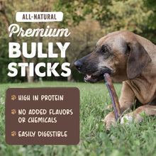 Load image into Gallery viewer, Mighty Paw Long Lasting 12" Bully Sticks for Dogs - All Natural Grass Fed Beef Chews. Lower Odor Dog Bully Sticks for Large Dogs, Medium and Small Breeds. Single Ingredient Treats
