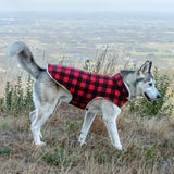 Furhaven Reversible XL Dog Coat, Washable & Insulating w/ Leash Access - Sherpa & Plaid Fleece Flex-Fit Jacket - Cream/Red, Extra Large