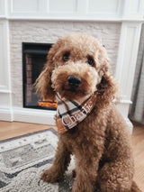 Plaid Bandana Personalized, Embroidered, Buffalo Plaid, Custom Pet Neckwear