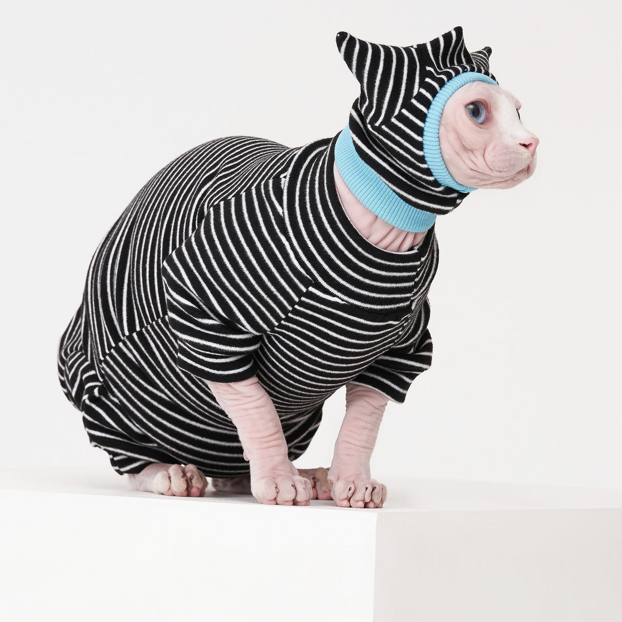 SNIXfever Sphynx Cat Clothes Black Stripe Breathable Shirts Suit, Pet Hat and Shirt Set (X-Large)