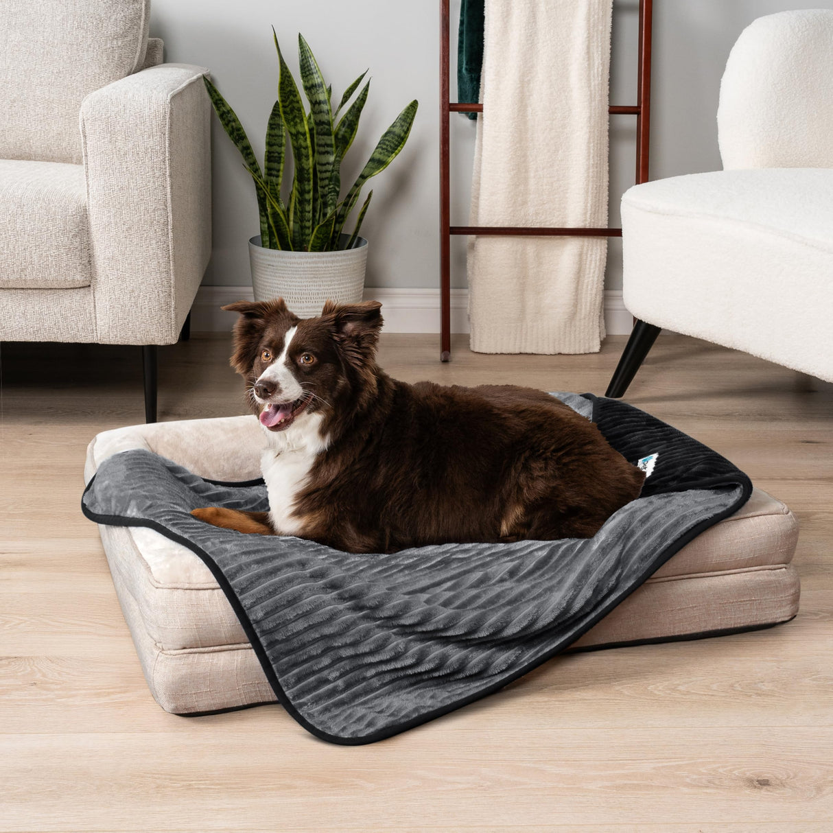 PetAmi Waterproof Dog Blanket, Leakproof Pet Blanket for Small Medium Large Dogs, Reversible Furniture Bed Sofa Couch Cover Protector, Plush Striped Pet Throw for Indoor Cat, 29x40 in, Black Grey