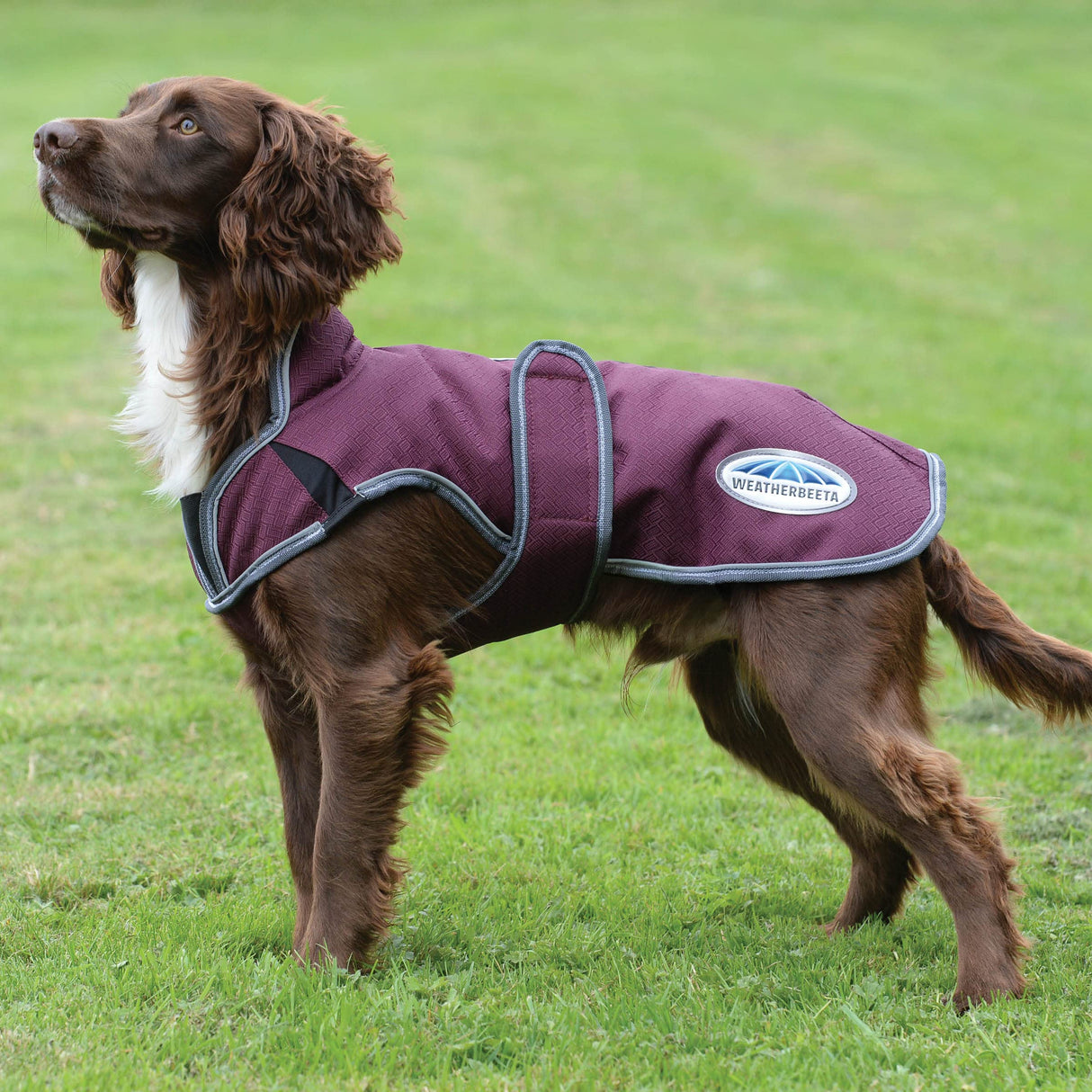 WeatherBeeta ComFiTec Premier Free Parka Deluxe Dog Coat Medium, Maroon/Grey/White, 28"